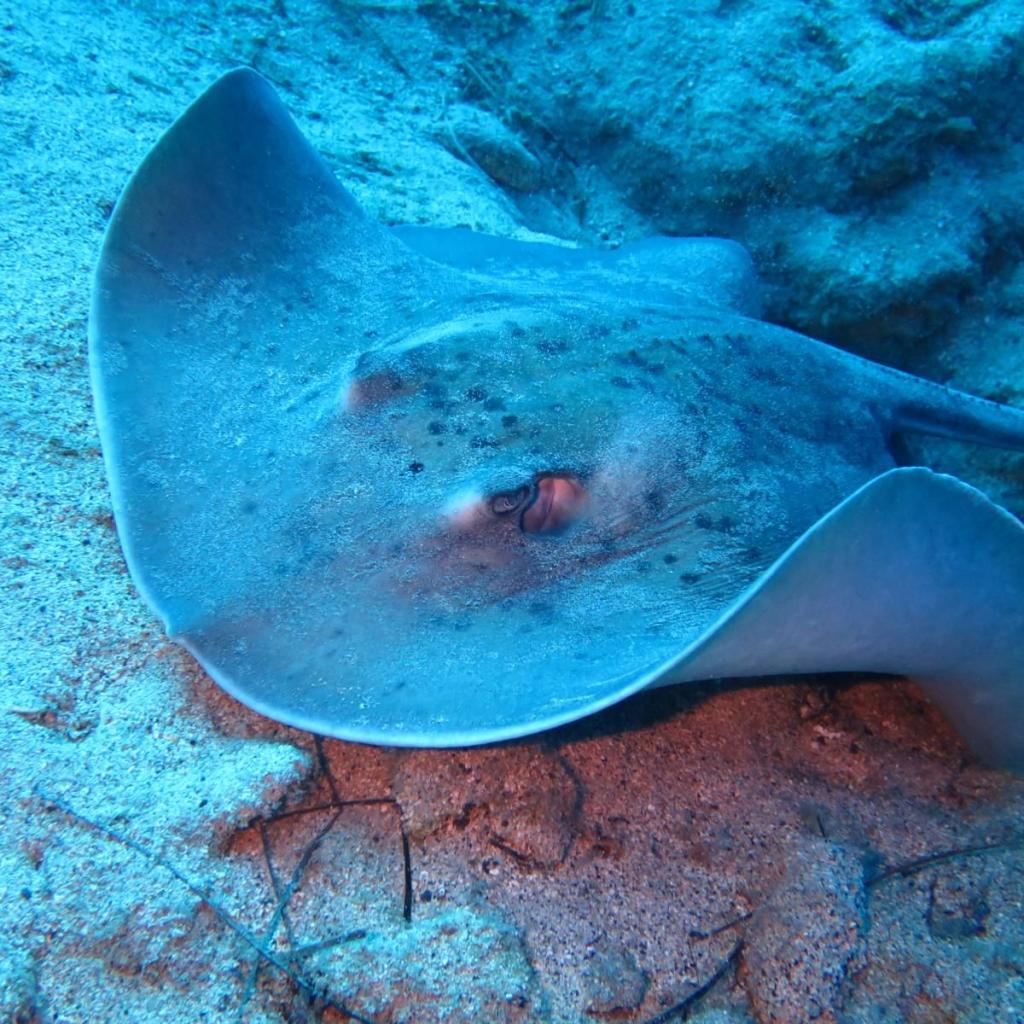 Fuerteventura (6)