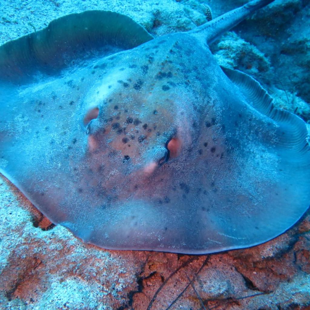 Fuerteventura (7)