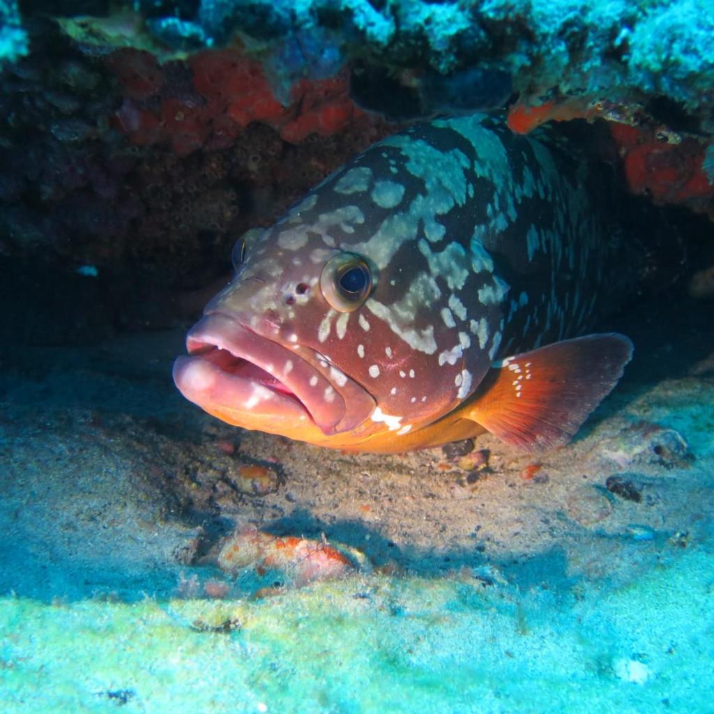 Fuerteventura (8)