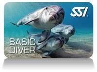 basic_diver