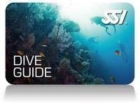 diveguide