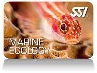 marine_ecology