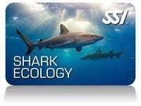 shark_ecology