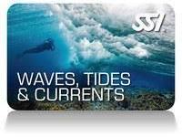 wave-tides-currents