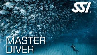 190352-472566_Master Diver (Small)