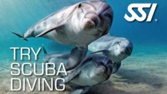 Try_Scuba